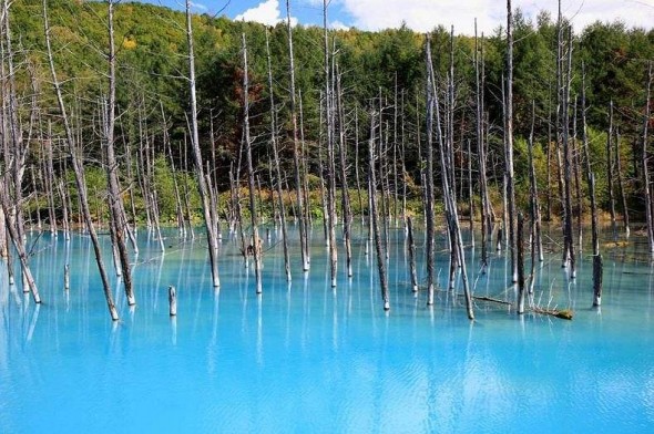 アップルがmacの壁紙にも採用した北海道の 青い池 が美しい コモンポストムービー