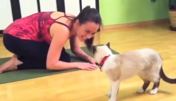 2012y10m27d_173155392